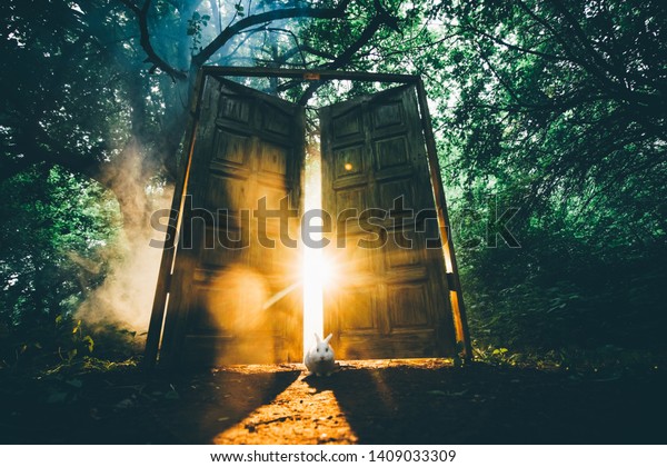 神秘的な森の中に 裏灯のついたおとぎ話のドア 白うさぎがドアの間に座る の写真素材 今すぐ編集