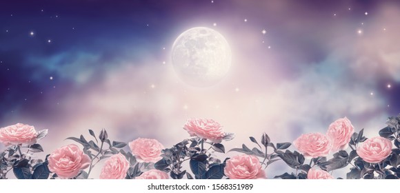 天上图片 库存照片和矢量图 Shutterstock