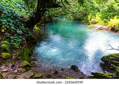 fairytale landscape of volcano tenorio national park by rio celeste river; sky blue river surrounded by dense rainforest in costa rica	