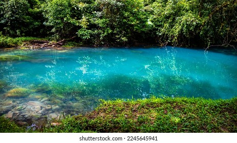 fairytale landscape of volcano tenorio national park by rio celeste river; sky blue river surrounded by dense rainforest in costa rica	