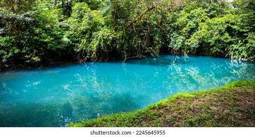 fairytale landscape of volcano tenorio national park by rio celeste river; sky blue river surrounded by dense rainforest in costa rica	