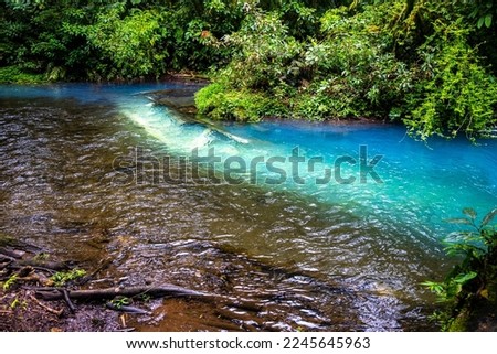 fairytale landscape of volcano tenorio national park by rio celeste river; sky blue river surrounded by dense rainforest in costa rica	