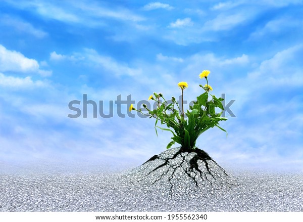Faith, Hope and Love. Plants breaking trough\
asphalt with blue sky. Symbol for persistence, to never give up,\
miracles, optimism, a bright future and motivation. Be patient and\
life will persevere.