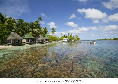 Fakarava Atoll, Tuamotus