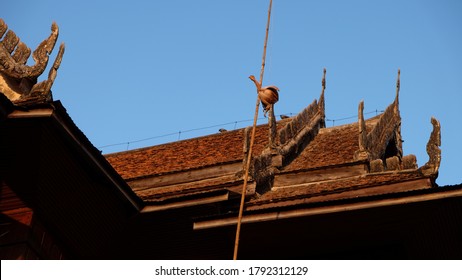 Fake Chicken Hang On The Pole