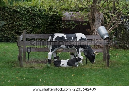        fake cows with calf for decoration                        