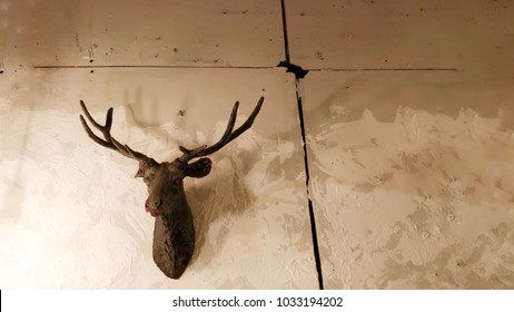 Fake Deer Head On Wooden Wall. Copy Space