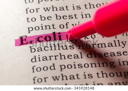 Fake Dictionary, Dictionary definition of the word E. coli