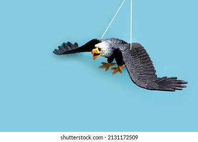  Fake Eagle For Bird Repeller