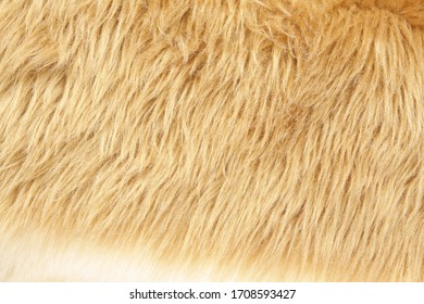 Fake Fur Textile Close Up Photo