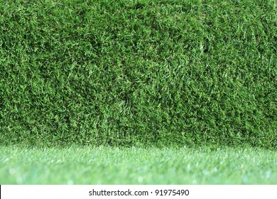 Fake Grass Wall, Texture.