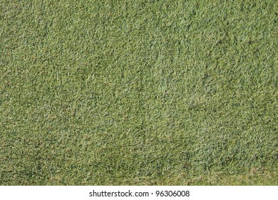 Fake Grass Wall Texture Stock Photo 96306008 | Shutterstock