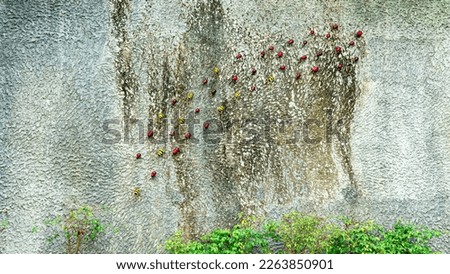 Fake insect decoration at wall in the park background. Walking row of fake colorful insect decorative on concrete wall in the garden.