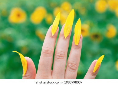 Fake Nails Made By Sunflower Petals . Summer Style 