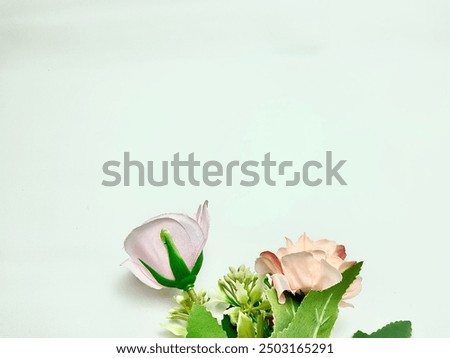 Image, Stock Photo Allium isolated on white background