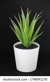 Fake plant in a white pot with black background