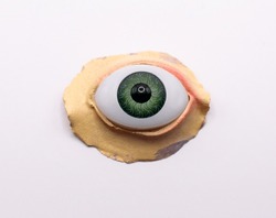 Fake Prosthetic Eye For Costume On A White Background