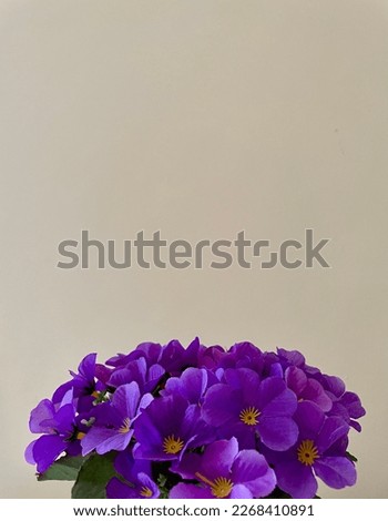 fake purple flowers display in the living room near wall in my house