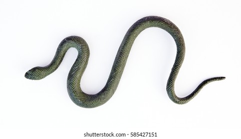 Fake Rubber Green Snake. Isolated.