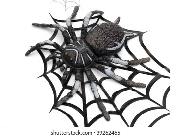 Fake Rubber Spider On Spider Web Graphic