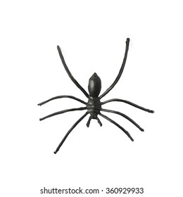 Fake Rubber Spider Toy Isolated