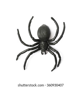 Fake Rubber Spider Toy Isolated