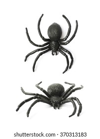 Fake Rubber Spider Toy Isolated