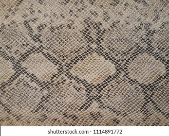 Fake Snake Skin (close Up)