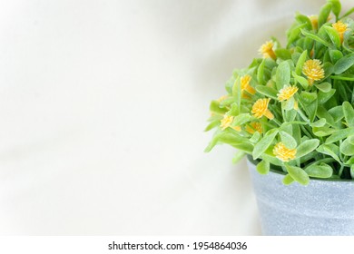Potted Fake Tree High Res Stock Images Shutterstock
