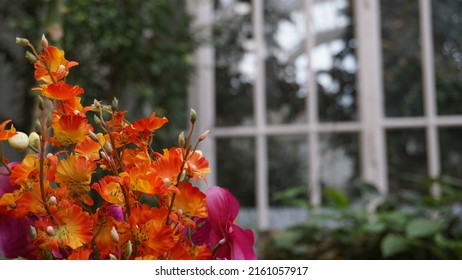 Fake yellow and red flowers in a greenhouse. Background with plants and a white window.