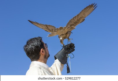 Falconer Releasing A Falcon From His Hand