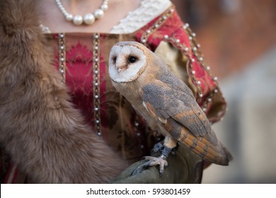 Falconry Display At The Medieval Festival