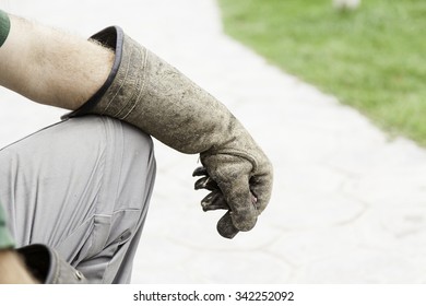 Falconry Glove For Birds, Detail Of A Bird Trainer