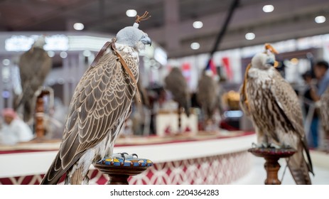 Falcons At Falcon Festival In Qatar