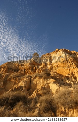 Falesia Cliffs, dramatic red and orange sea cliffs in Portugal, lined with pine trees and overlooking golden beaches and the Atlantic Ocean. Trail on the top or walk along the cliffs at beach level.