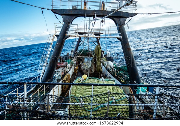 Falkland Islands Conservation Zone waters / Falkland\
Islands - July 4, 2019: Photo taken on board commercial fishing\
vessel on Falkland Islands waters. The trawler is pulling a net\
full of fish. 