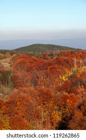 fall