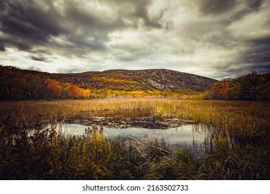 Fall In The Acadia National Park With Colorful Fall Foliage And Dramatic Clouds