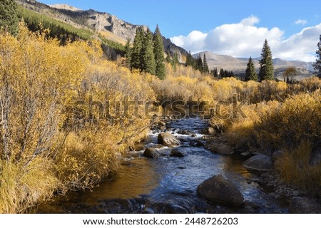 Fall along Gomer Creek off Abyss Trail in Mt Evans Wilderness Guanella Pass Bailey Colorado