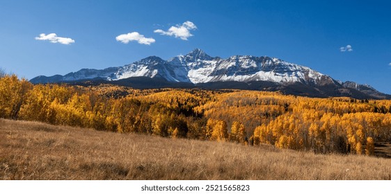 Fall Aspen trees beneath Wilson Peak in the San Juan Mountains near Telluride, Colorado