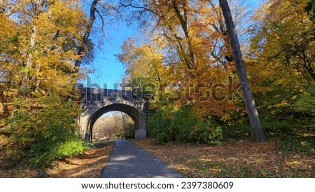 fall autumn arch arched stone bridge