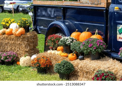 Fall autumn autumnal outdoor display outside. Halloween Thanksgiving. Old blue truck. Hay straw bale bales. Mums chrysanthemums. Pumpkins orange white squash gourd gourds. Decorative decoration decor. - Powered by Shutterstock