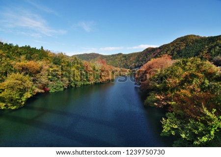 画像を等倍で表示します 画像