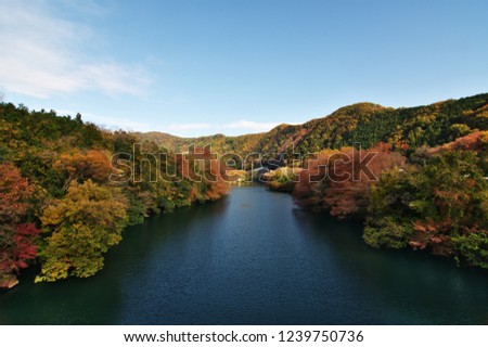 画像を等倍で表示します 画像
