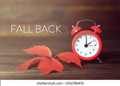 Fall Back. Daylight Saving Time.