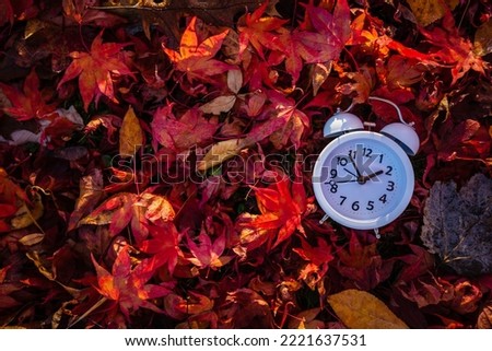 Fall Back Daylight Saving Time vivid red autumn leaves background in morning light copy space