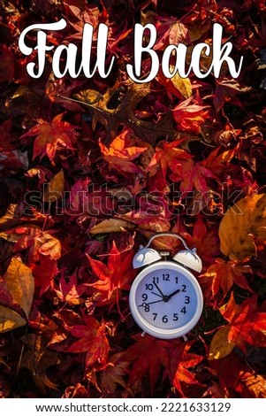 Fall Back text Daylight Saving Time vivid red autumn leaves background in morning light