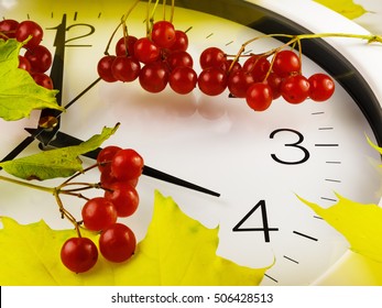 Fall back, winter time. Daylight Saving Time 4 to 3.
The fall back is done in autumn. When local daylight time is about to reach 4 AM
clocks are turned backward one hour to 3 AM.