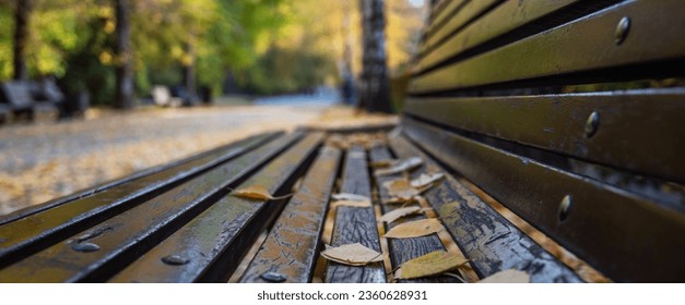 Fall background. Autumn in the park. Yellow leaves on the bench close-up. Autumn leaves on wood planks bench over outdoor natural background. - Powered by Shutterstock