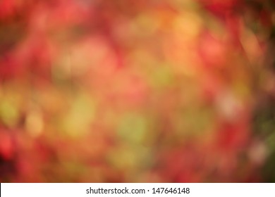 Fall Background Of Red And Orange With Bokeh